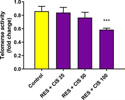 Combination therapy of cisplatin and resveratrol to induce cellular aging in gastric cancer cells: Focusing on oxidative stress, and cell cycle arrest
